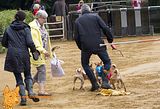 Deutsches Derby Hamburg 2014 (1013)